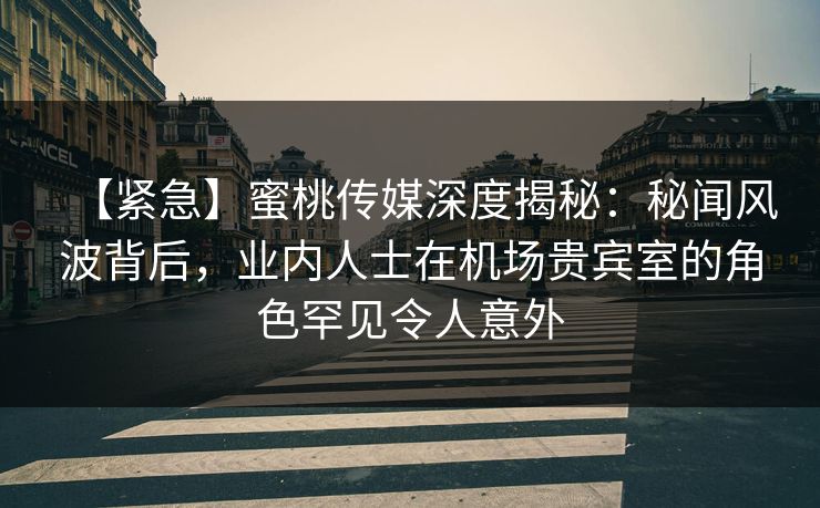 【紧急】蜜桃传媒深度揭秘：秘闻风波背后，业内人士在机场贵宾室的角色罕见令人意外