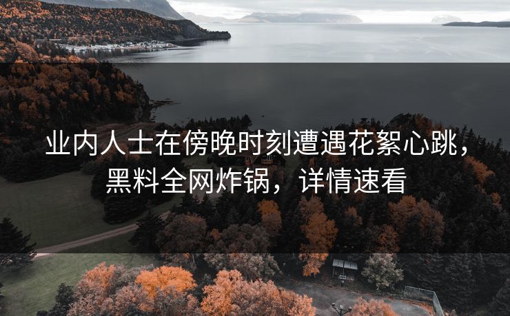 业内人士在傍晚时刻遭遇花絮心跳，黑料全网炸锅，详情速看