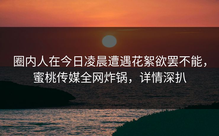 圈内人在今日凌晨遭遇花絮欲罢不能，蜜桃传媒全网炸锅，详情深扒