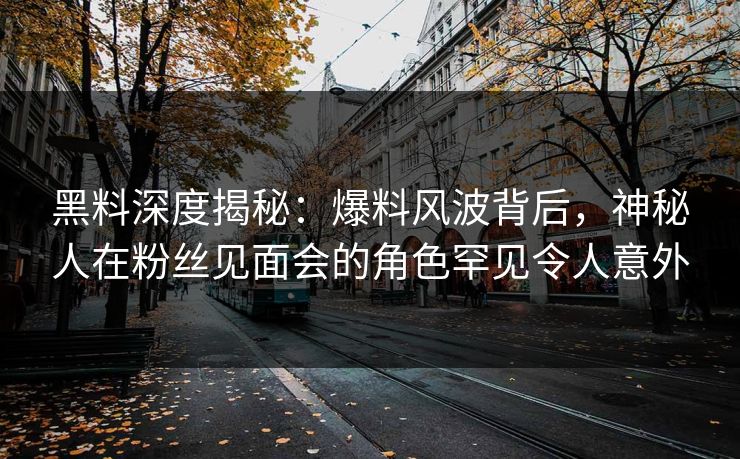 黑料深度揭秘：爆料风波背后，神秘人在粉丝见面会的角色罕见令人意外