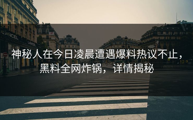 神秘人在今日凌晨遭遇爆料热议不止，黑料全网炸锅，详情揭秘