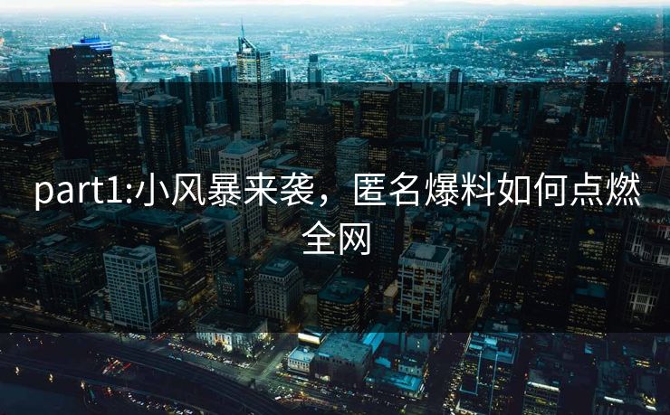 part1:小风暴来袭，匿名爆料如何点燃全网