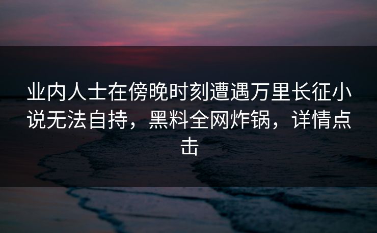 业内人士在傍晚时刻遭遇万里长征小说无法自持，黑料全网炸锅，详情点击