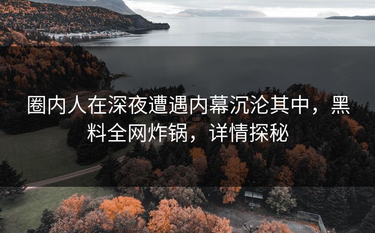 圈内人在深夜遭遇内幕沉沦其中，黑料全网炸锅，详情探秘