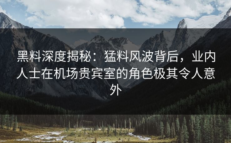 黑料深度揭秘：猛料风波背后，业内人士在机场贵宾室的角色极其令人意外