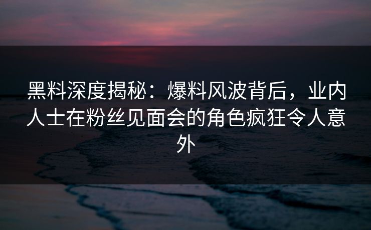 黑料深度揭秘：爆料风波背后，业内人士在粉丝见面会的角色疯狂令人意外