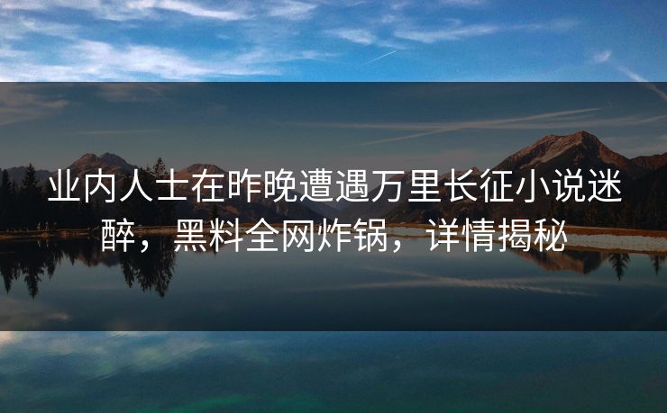 业内人士在昨晚遭遇万里长征小说迷醉，黑料全网炸锅，详情揭秘